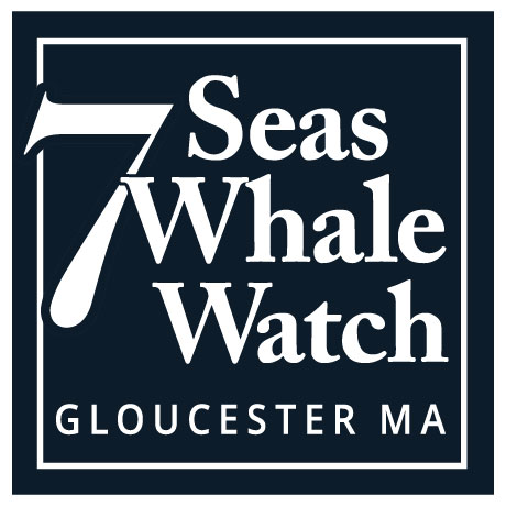 Whale Watch Tours from Gloucester MA Logo
